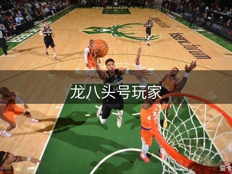 网站介绍