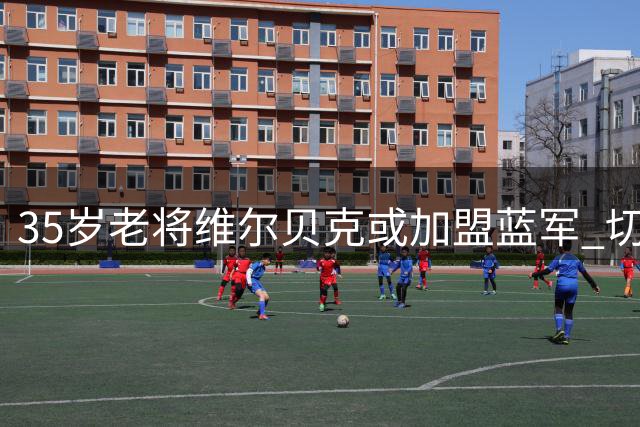 35岁老将维尔贝克或加盟蓝军 切尔西与布莱顿展开转会磋商